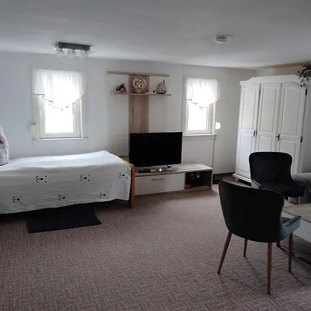 Schlenker Neustadt in Sachsen