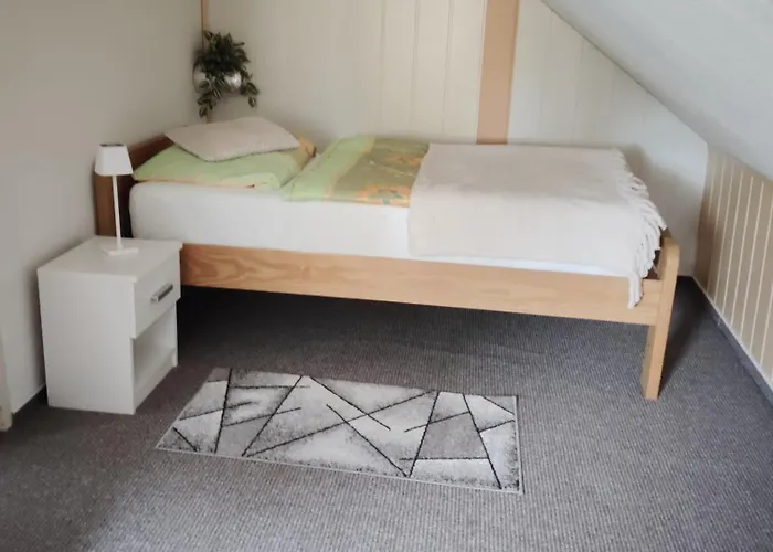 Апартаменты Schlenker *