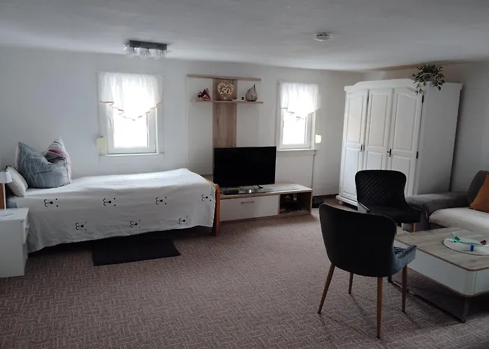 Schlenker Нойштадт-ин-Захзен